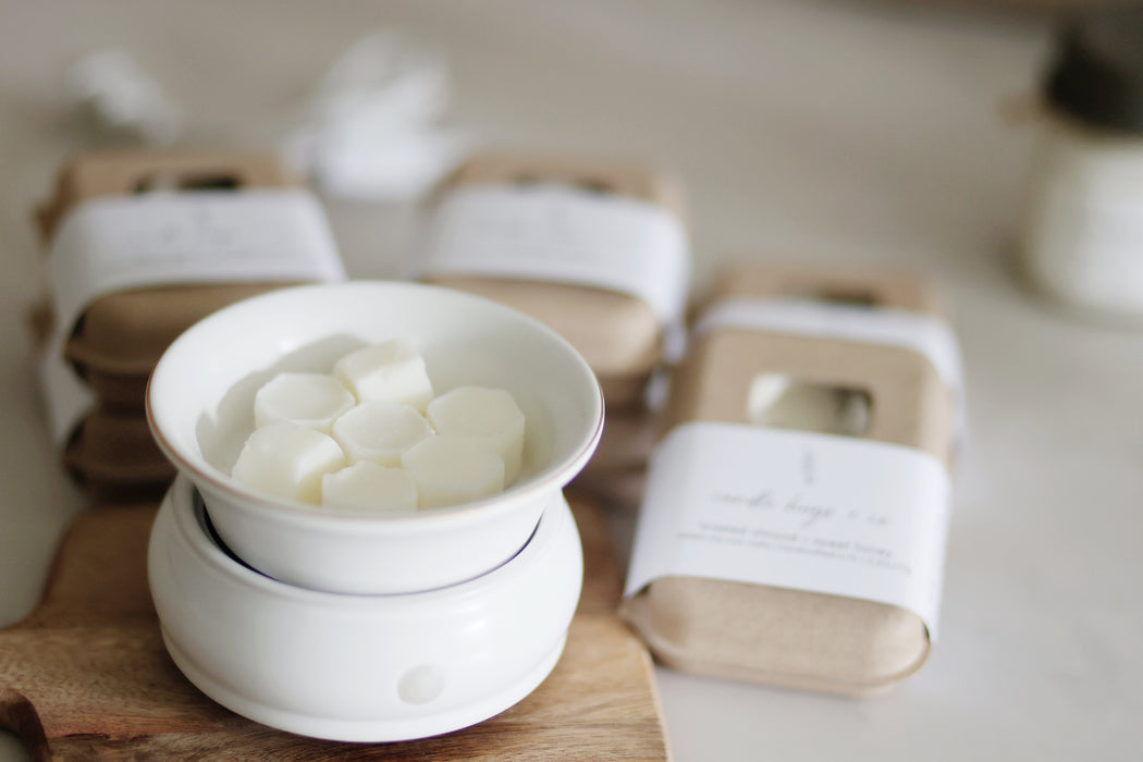 wax melter + soy wax melts gift set